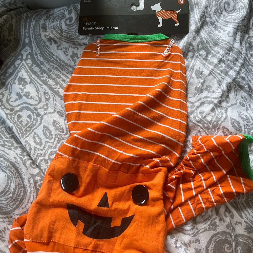 Dog Halloween Pumpkin Pj's